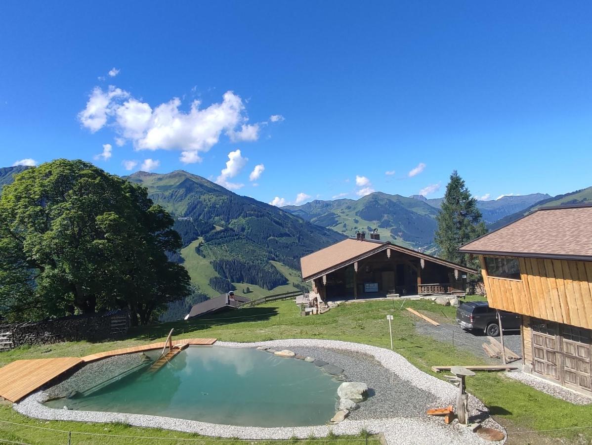 Sinnlehen Alm Saalbach-Hinterglemm Extérieur photo