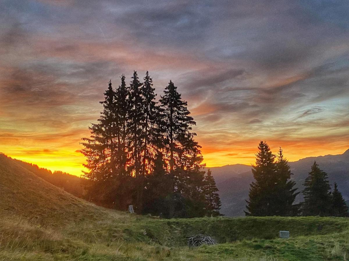 Sinnlehen Alm Saalbach-Hinterglemm Extérieur photo